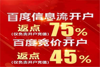 某电商平台的SEM投放全流程案例